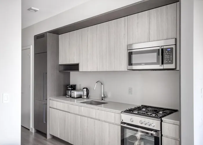 South Loop W Pool Bbq Gym Nr Grant Park Chi-775 *